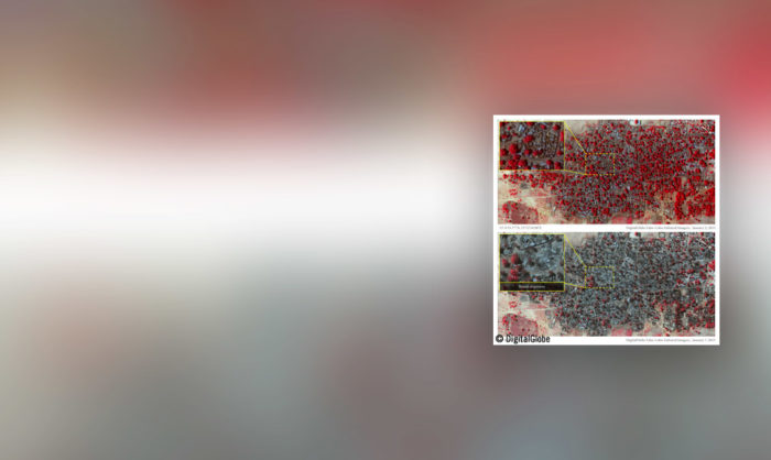 Imagens satélite mostram a escala do ataque do Boko Haram a Baga