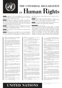 Declaration Of Human Rights Replica Small 